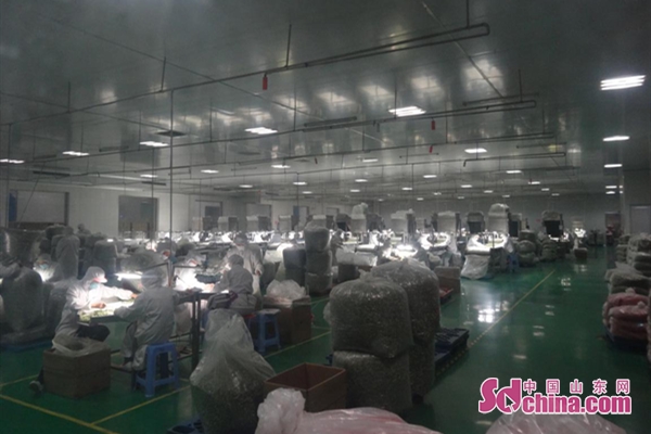 菏泽pg电子官方网站脱水食品有限公司：科学防控疫情 有序复工复产